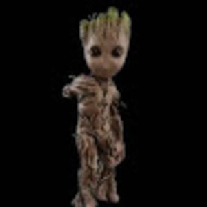 Meet your Posher, Ronda